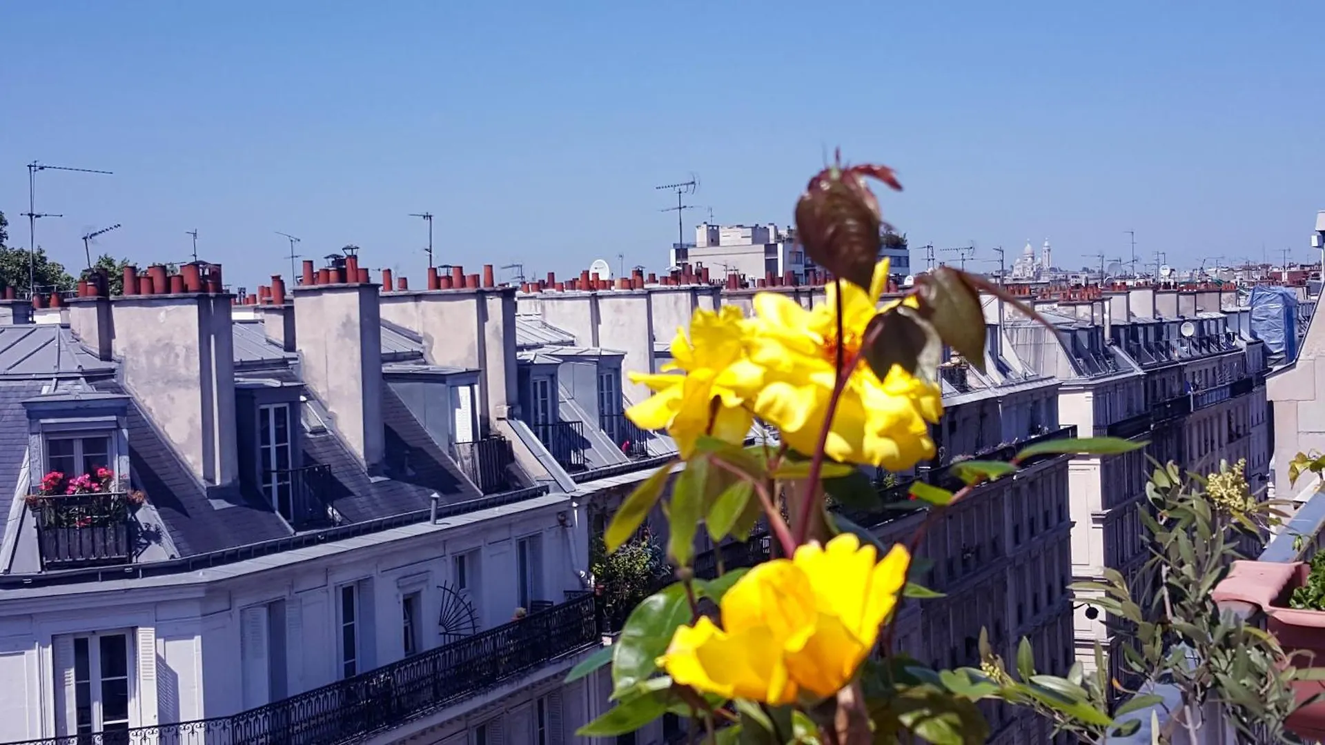 King Bedroom And Terrace In Paris Center, Shared Bathroom